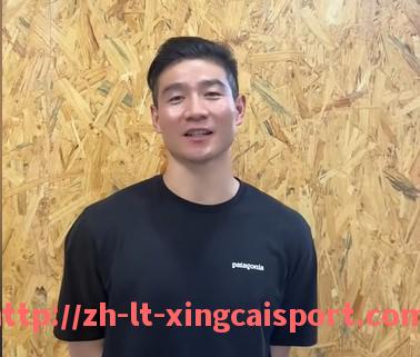 杏彩体育-德甲球队踢荷兰球队：两国足球风格的对碰