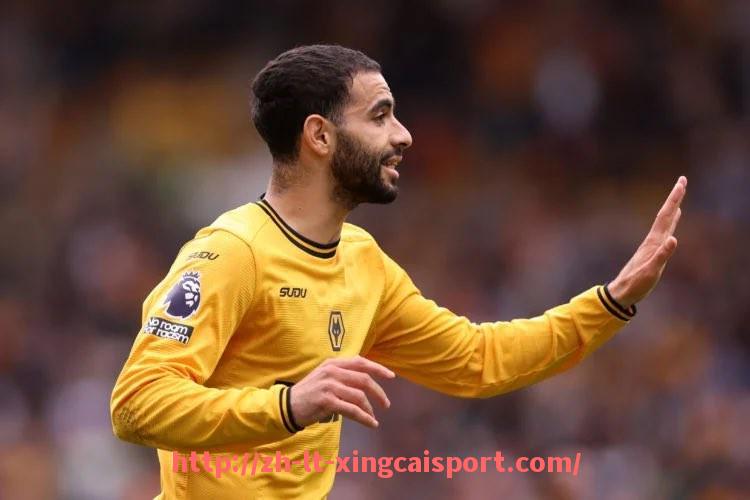 杏彩体育-法甲年度精彩镜头回顾：赛场上不可错过的瞬间