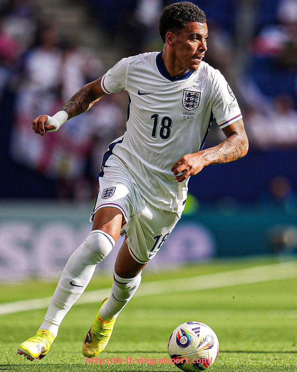 杏彩体育-世俱杯扩展至48支队伍模式的可行性与潜在挑战分析