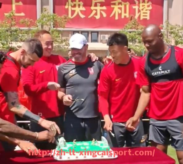 杏彩体育-法甲与德甲联赛球队区别及对比解析